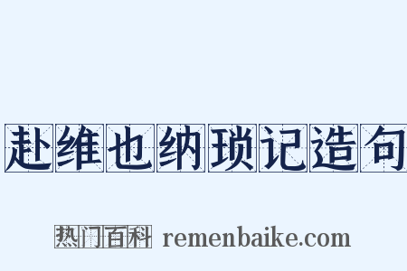赴维也纳琐记造句是什么意思的图片